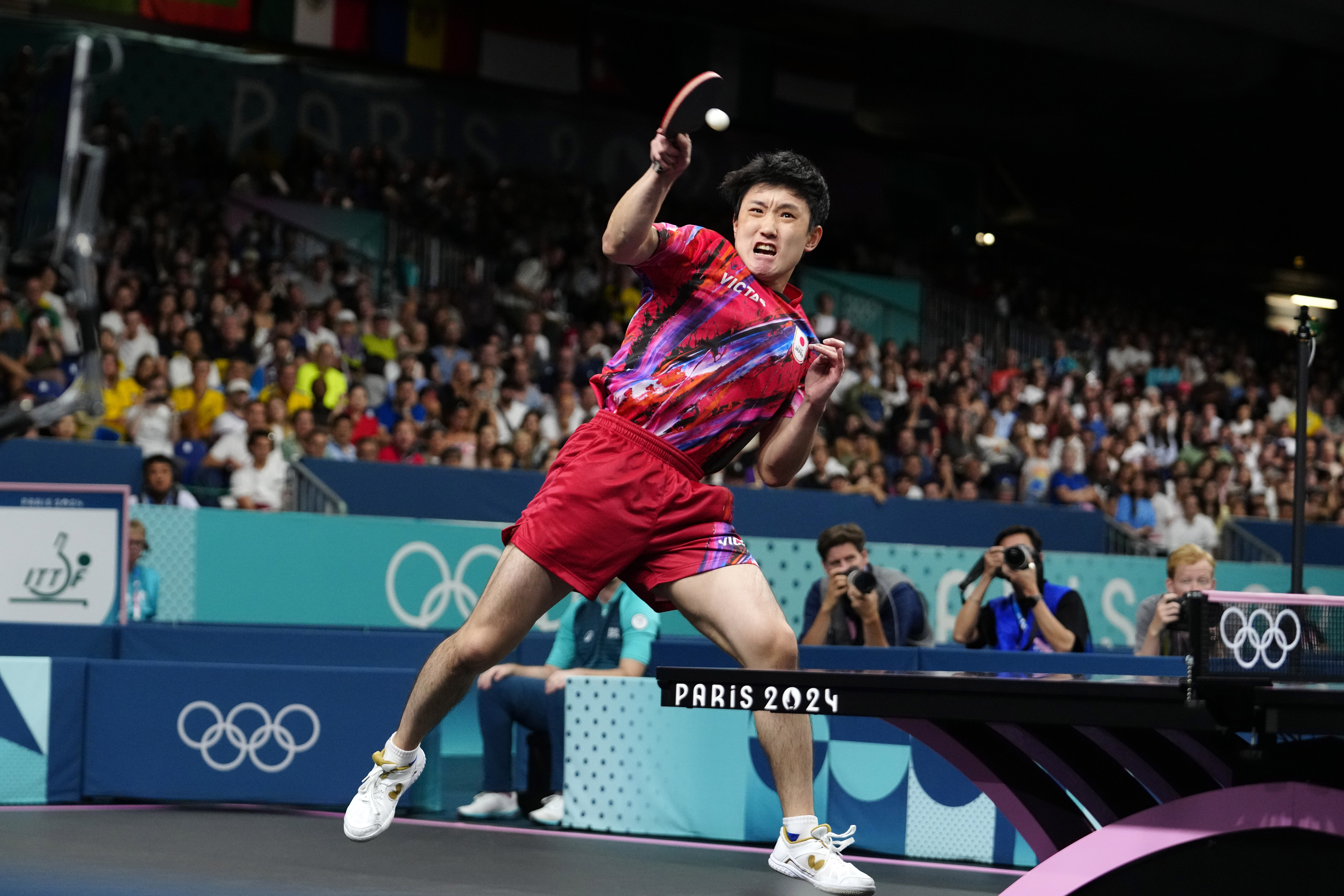 德国乒乓球队完胜波兰乒乓球队，张本智和打破历史纪录