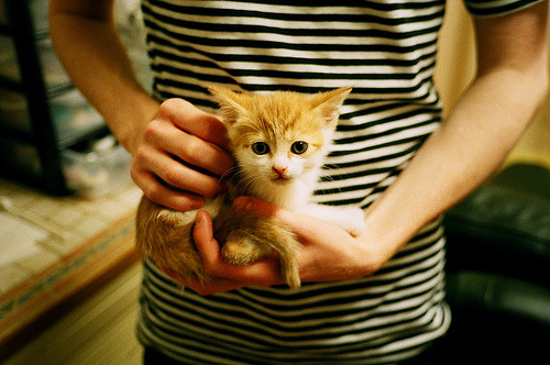 离岸流,当葡萄牙带走德国,基耶萨成为风暴眼