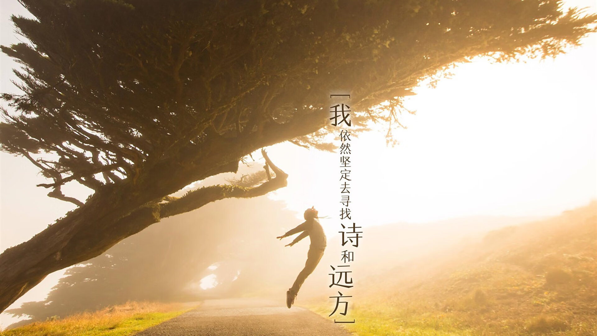 当雄鹿的角撞上华南虎的利齿,德文·布克如何在一场不可能的比赛中定义完美