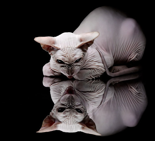 南美双雄的荣耀，阿根廷力克威尔士，内马尔闪耀世界排名战