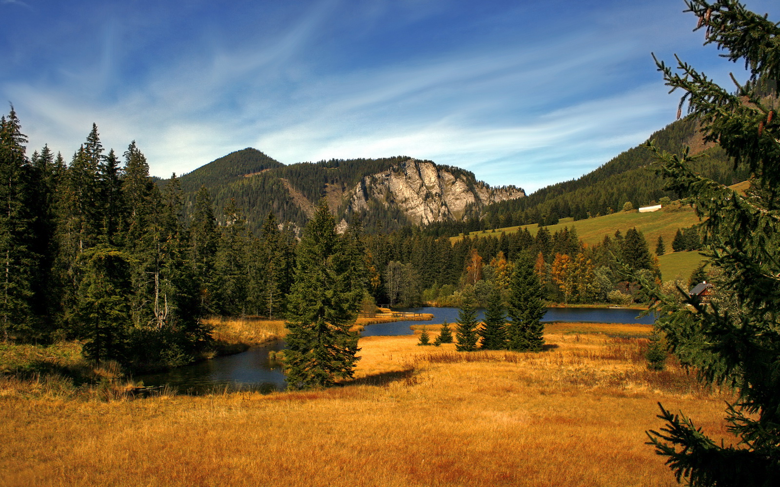 战报疑云，弗拉霍维奇现身非洲？一次不可能的防守与一场不存在的比赛
