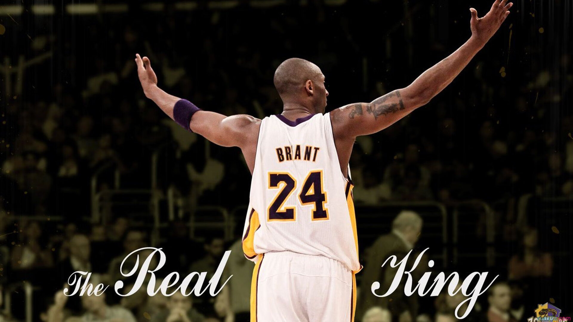 梦幻联动，多特蒙德逆转加拿大，弗拉霍维奇在NBA总决赛接管比赛