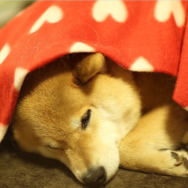 乔治独舞黄龙,一场定义完美的个人英雄主义交响