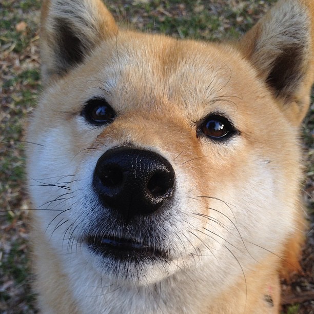杜兰特47+12统治末节,独行侠鏖战力克广厦,献近年最震撼篮球个人秀