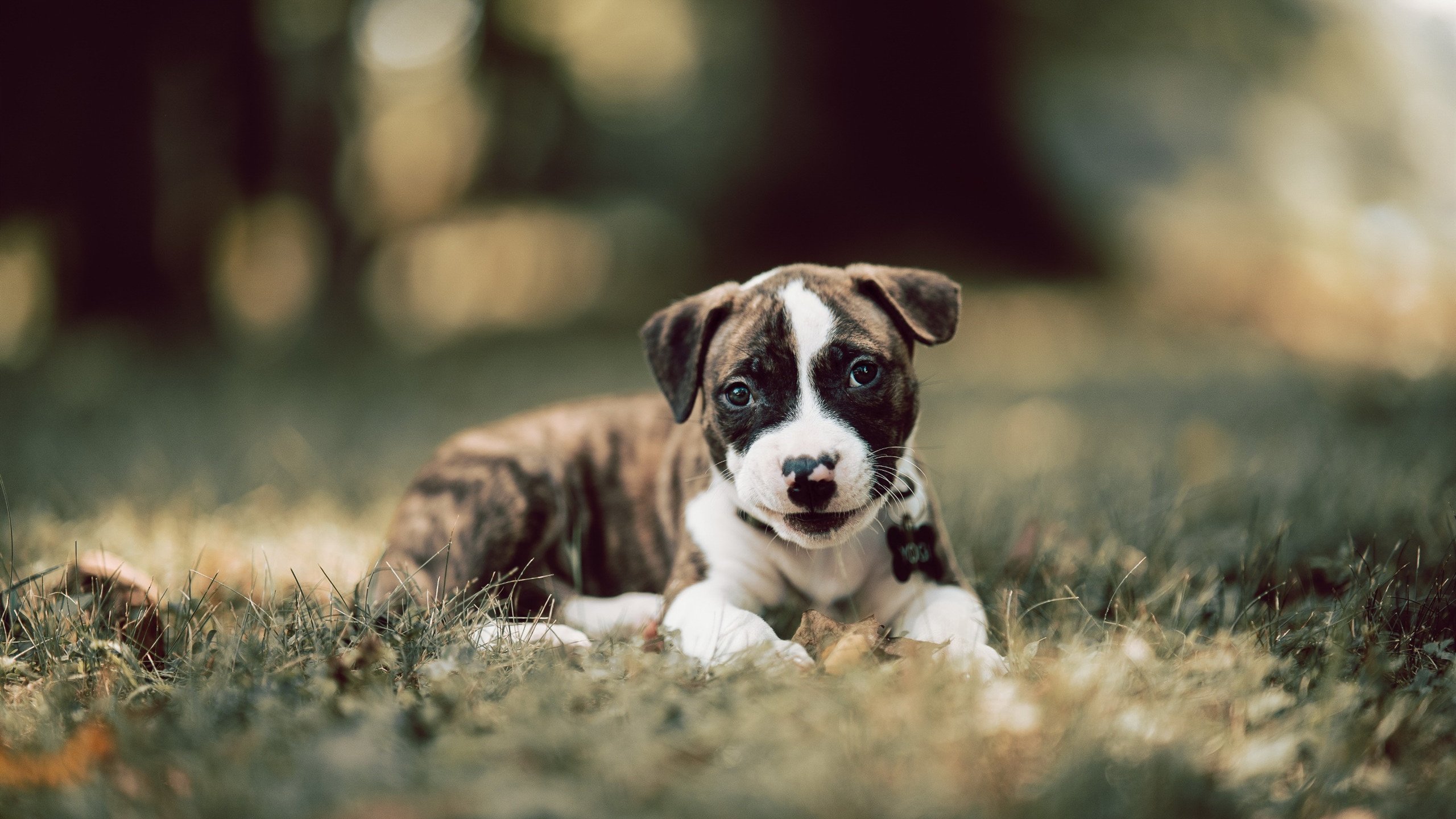 绿茵场上的西决模式，莫德里奇的稳定输出如何定义伟大