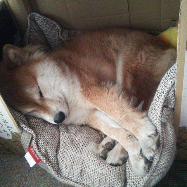 东方魔法，久保建英在寂静球场导演的逆转神话