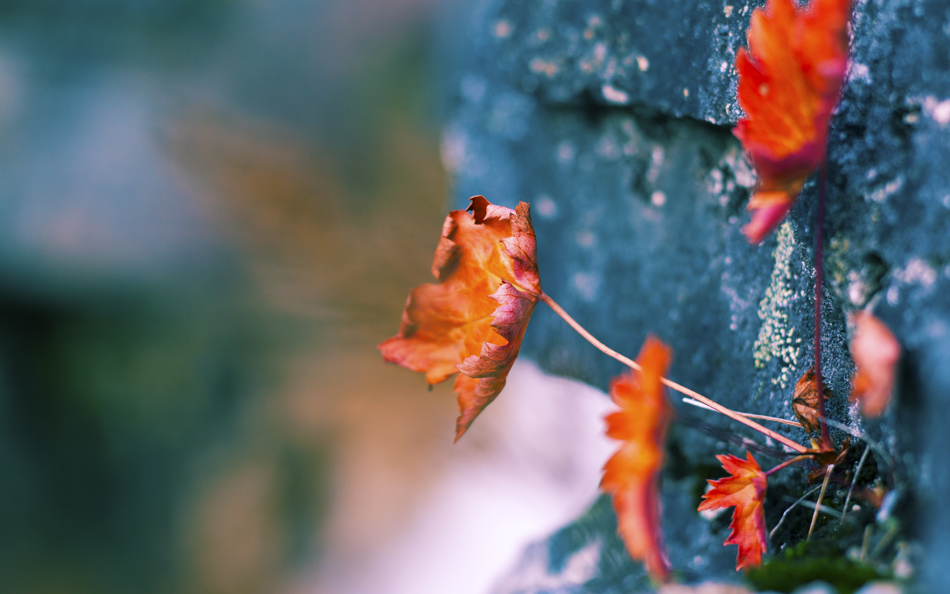 数字黄昏，当上海队逆袭湖人，与克莱在东决的枪火交响