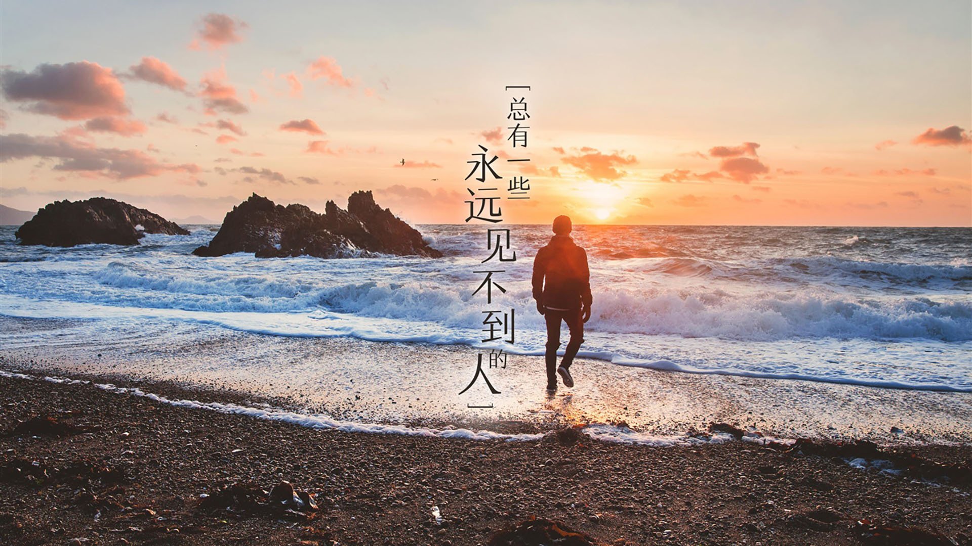 蓝衣黑马，托纳利中场封神，喀麦隆风暴席卷2026世界杯C组