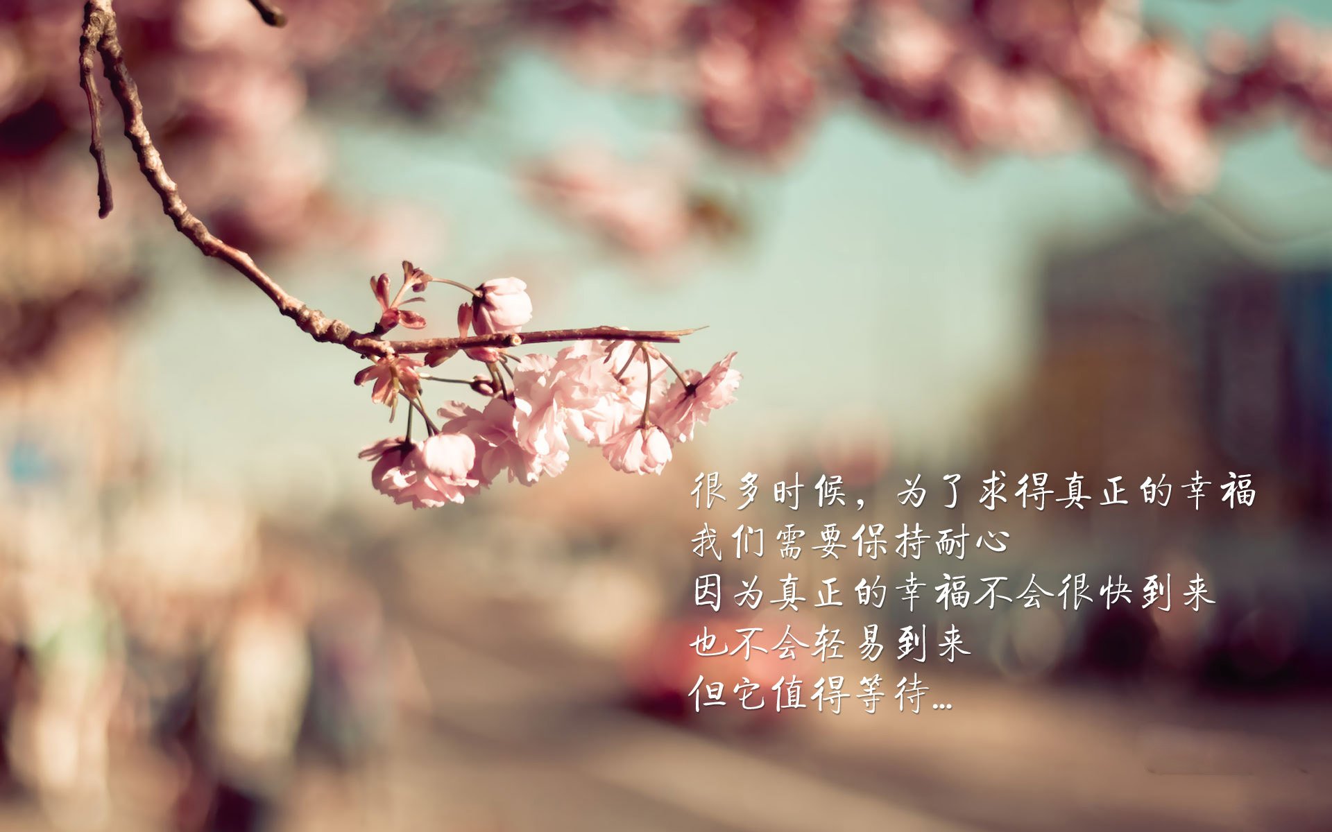 冷门与传奇,2026世界杯D组生死战,厄瓜多尔三球横扫葡萄牙,孙兴慜独造两球,门将封神之夜
