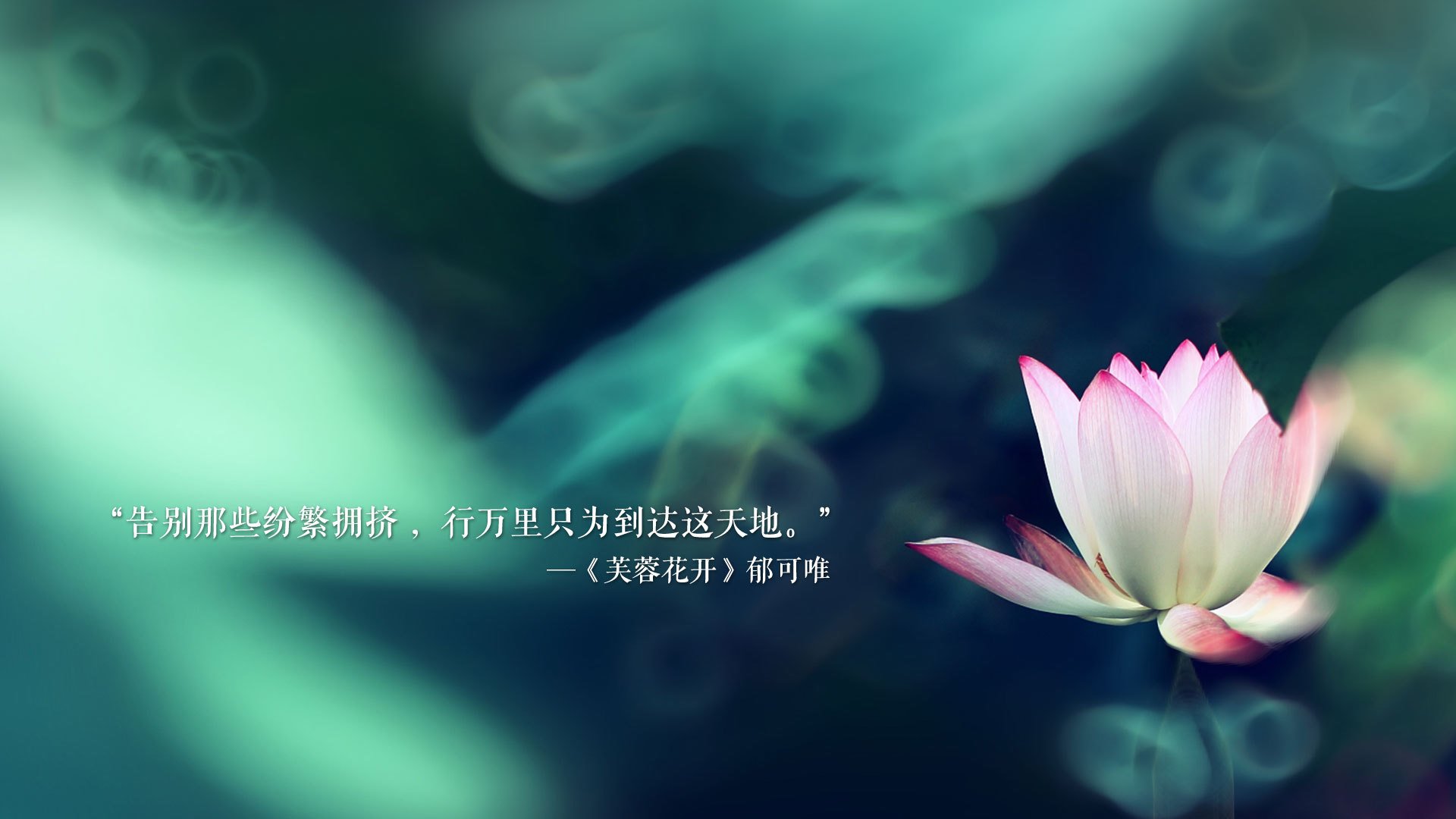 唯一的一页,当2026年的足球回家遇到比利时魔术师的终章