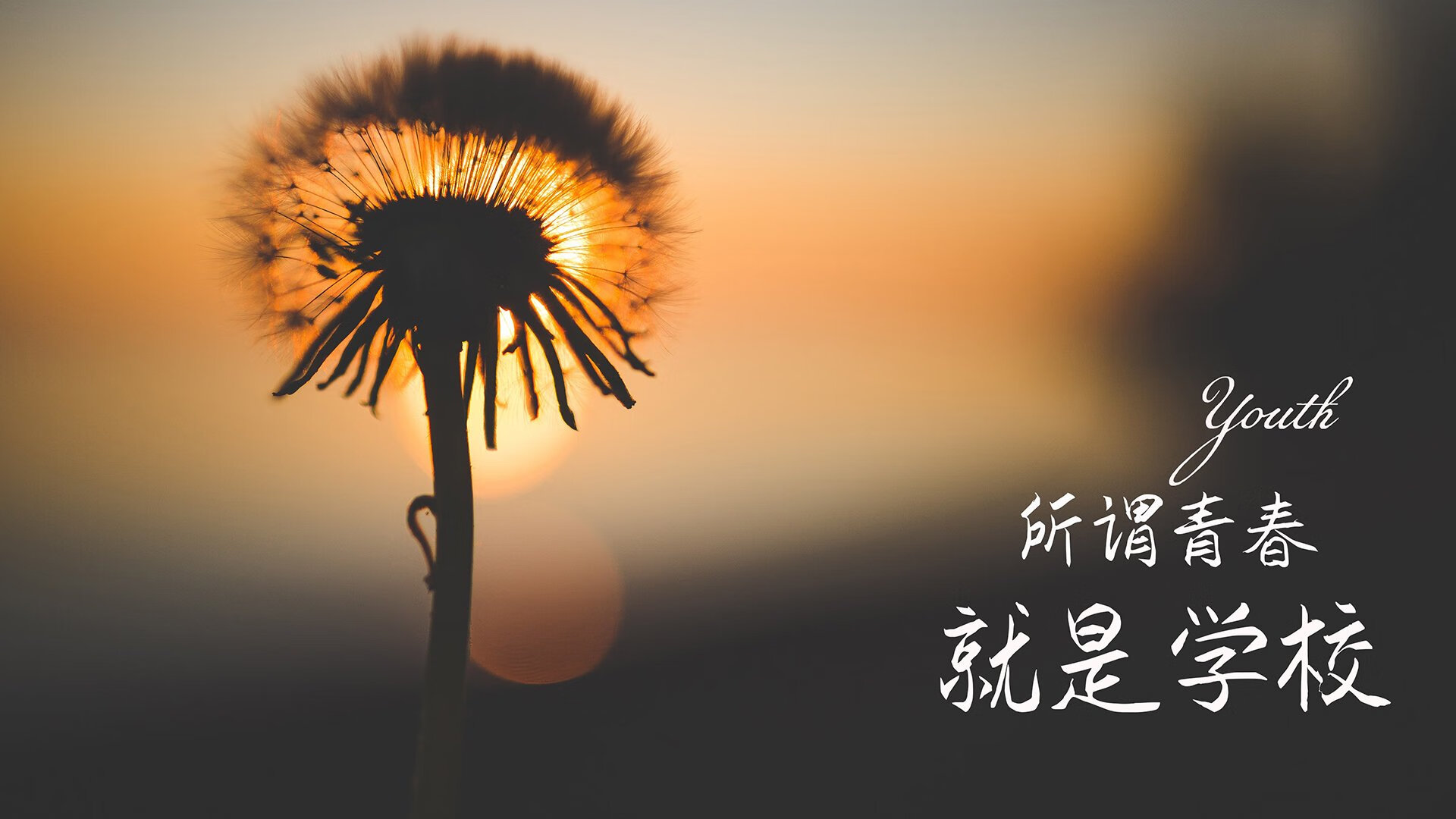 暗夜中的红与黄，2026世界杯A组焦点战，哥伦比亚用铁血逆转撕碎罗马尼亚，哈基米以一人之力重写剧本