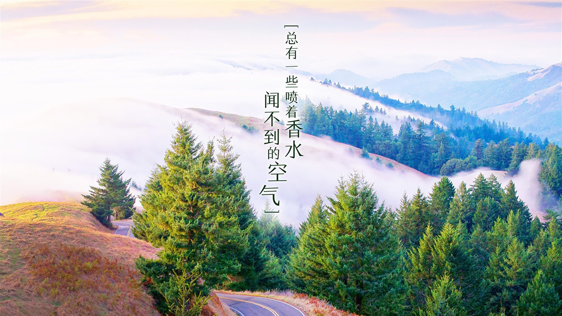 橙衣风暴,京多安指挥下的闪电战,荷兰如何在2026世界杯D组生死战中横扫罗马尼亚