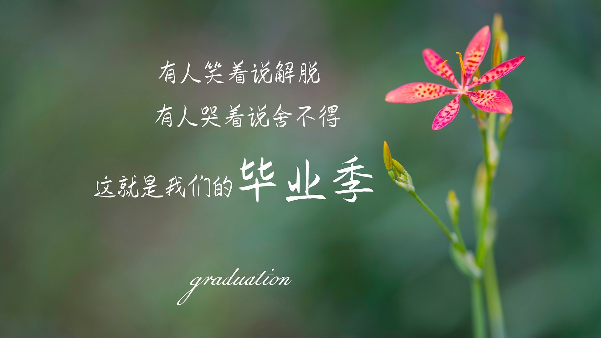 构思（扩展思维）